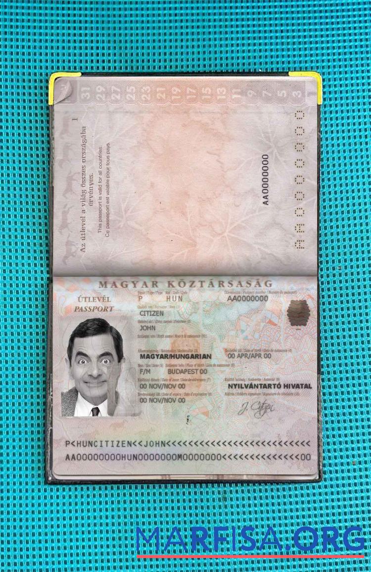 Printable Hungary passport photo look download for verification